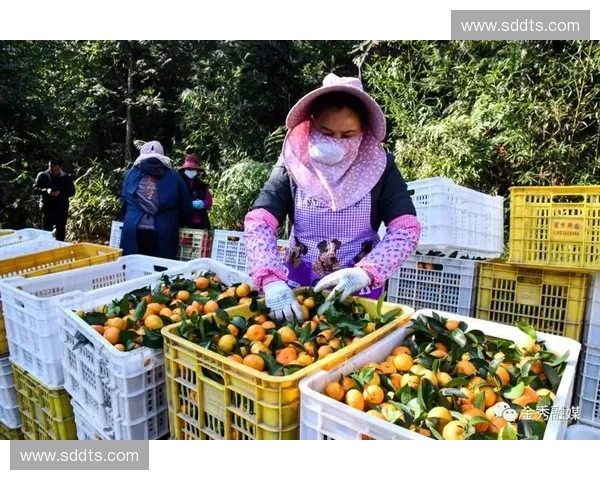 江西直播创新发展助力乡村振兴 打造多元化互动平台提升地方影响力